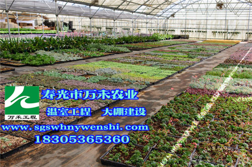 1481166438387415.jpg yuantu_副本.jpg