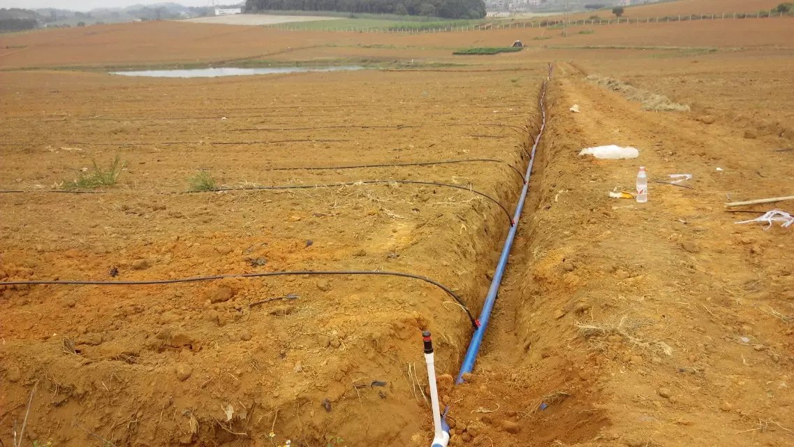 1470036669742593.jpg psb.jpg