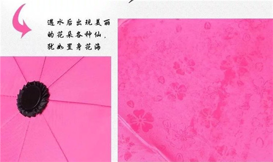 1492056677773503.jpg 6.jpg