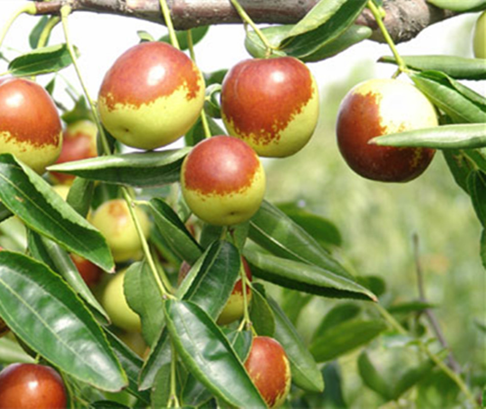 1475377048636538.jpg 201407100521487027_x.jpg