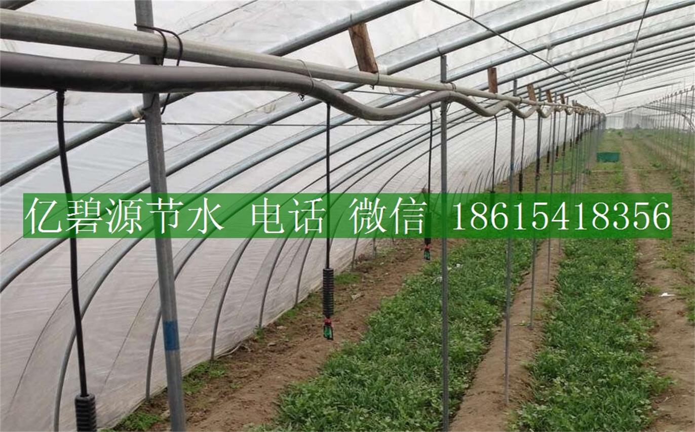 1470192947857359.jpg 果樹滴灌22.jpg