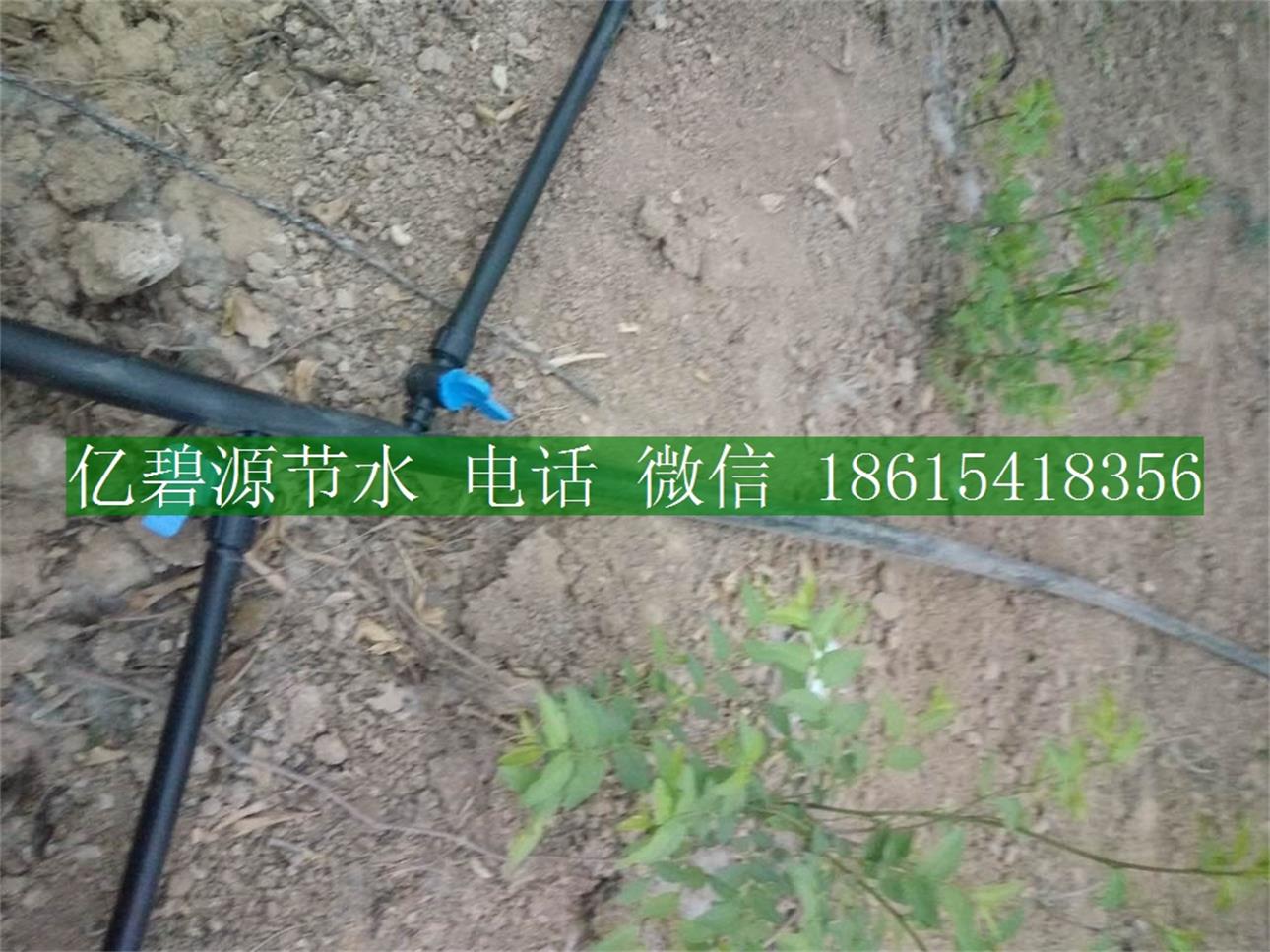 1470193151688354.jpg 果樹滴灌3.jpg