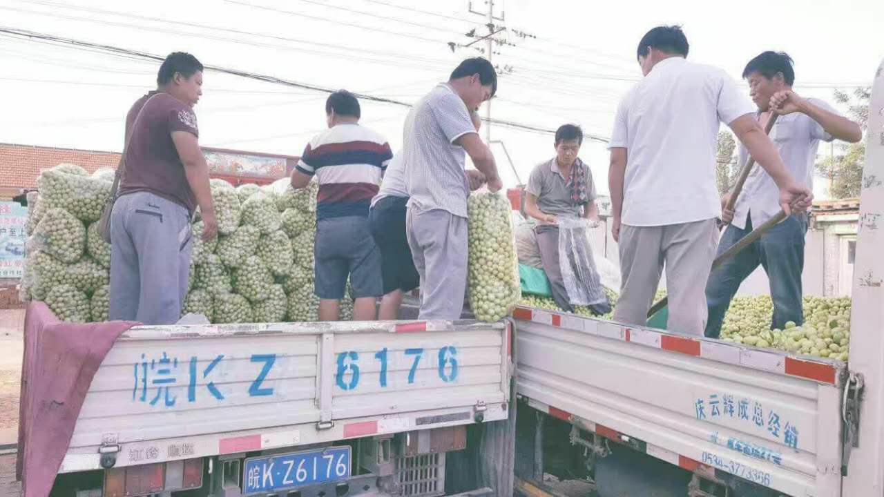 1475376490295217.jpg webwxgetmsgimg (8).jpg