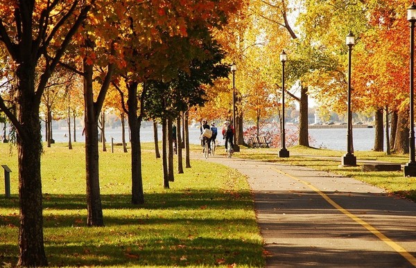 1491544655183393.jpg 01180d8013874eea8c9a47a0b58f16f4_th.jpg