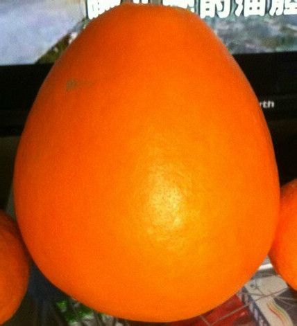 1476762842426477.jpg 金桔.jpg