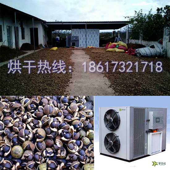 1509506601686169.jpg 油茶籽烘干機(jī)1.jpg