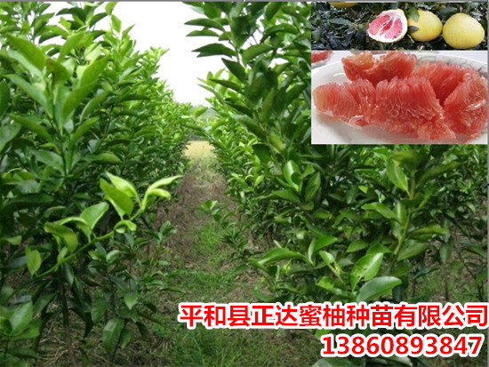 1488181486865156.jpg 2014-06-28-01658ad672-aa80-43c9-ac28-ef0066dcc793_副本.jpg