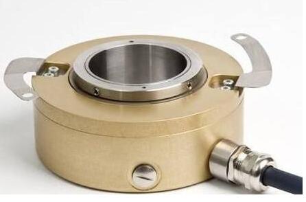 1513589104346501.jpg LITTON.jpg