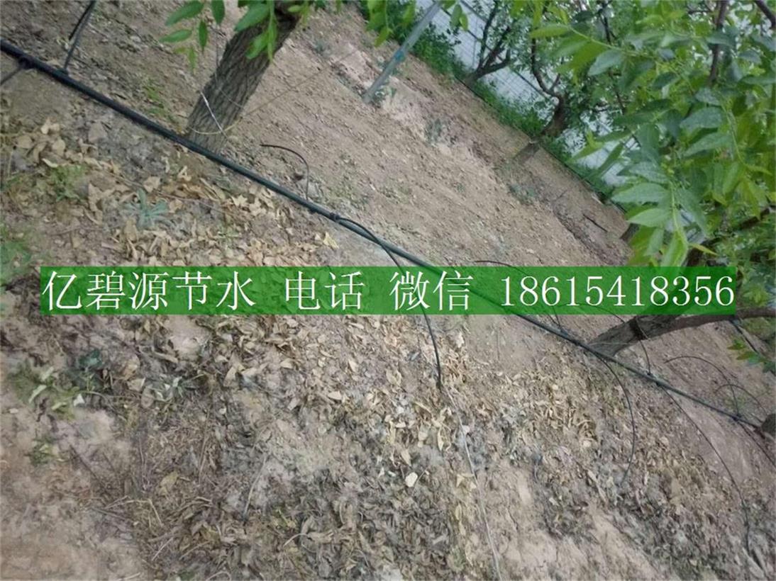 1470101241907125.jpg 果樹滴灌1.jpg