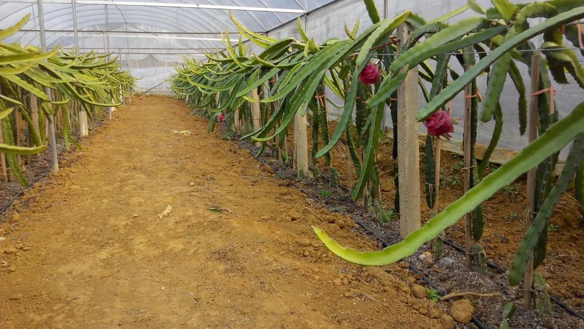 1470100055442932.jpg psb (4).jpg