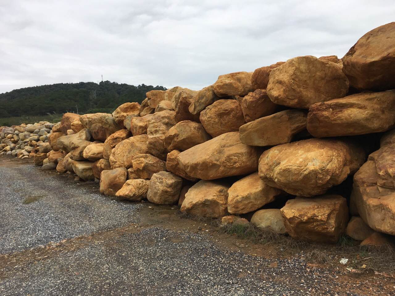 1487226730459333.jpg 21.jpg