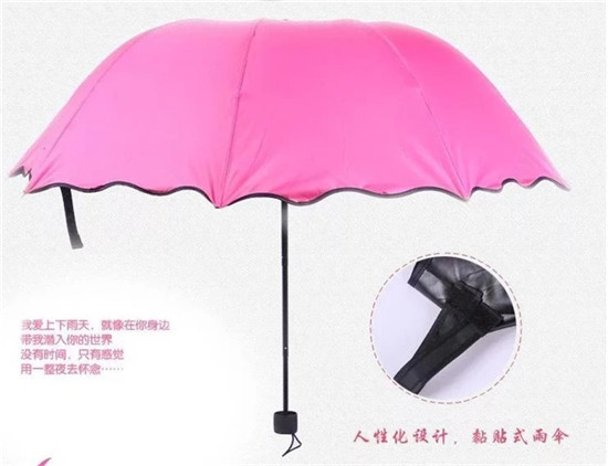 1492056672271017.jpg 5.jpg