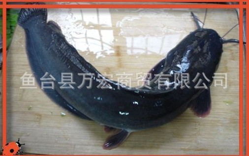 QQ圖片20140522182323