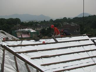 1513151294871618.jpg 2011102909035927.jpg