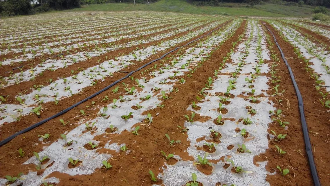 1470099632934134.jpg psb (1).jpg