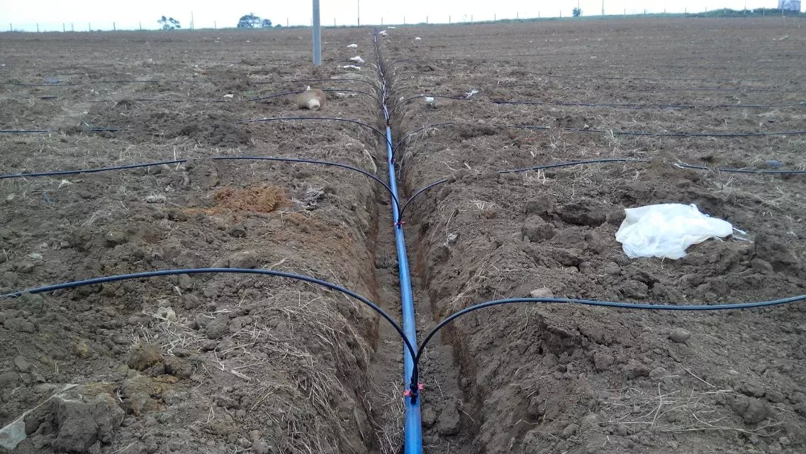 1470101233243860.jpg psb (7).jpg