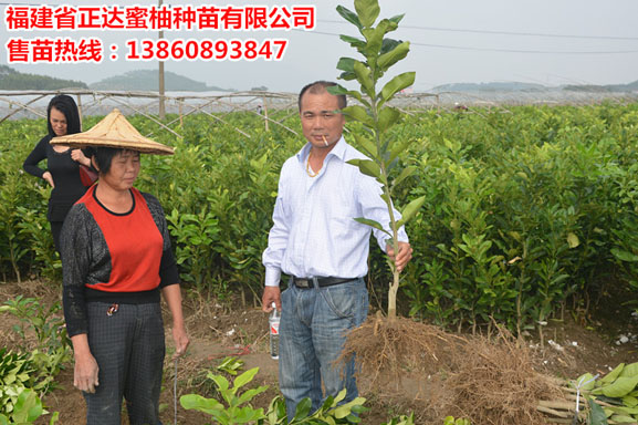 1474601266764196.jpg DSC_0613.JPG