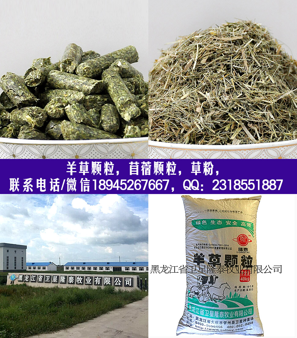 1457677427921754.jpg 顆粒復合圖.jpg