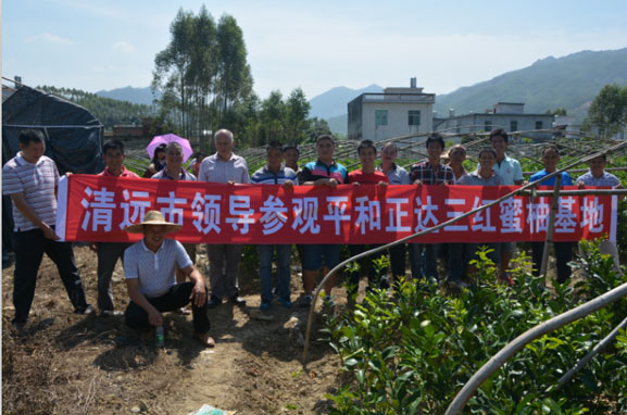 1476157190493930.jpg 17.jpg