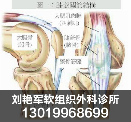 盤錦膝小腿疾病 盤錦膝小腿疾病