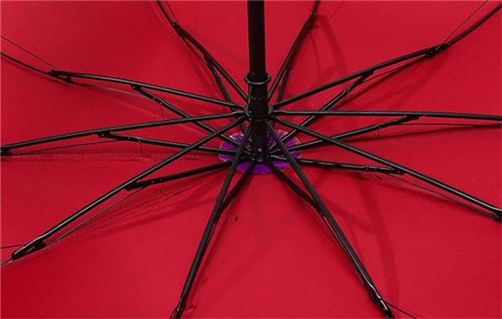 1492057326924306.jpg 5.jpg