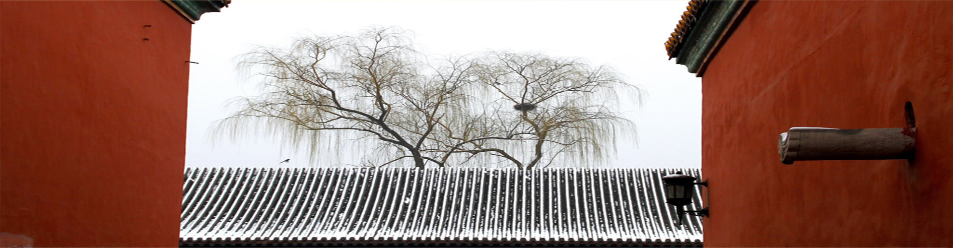 1459132793263508.jpg 3.jpg