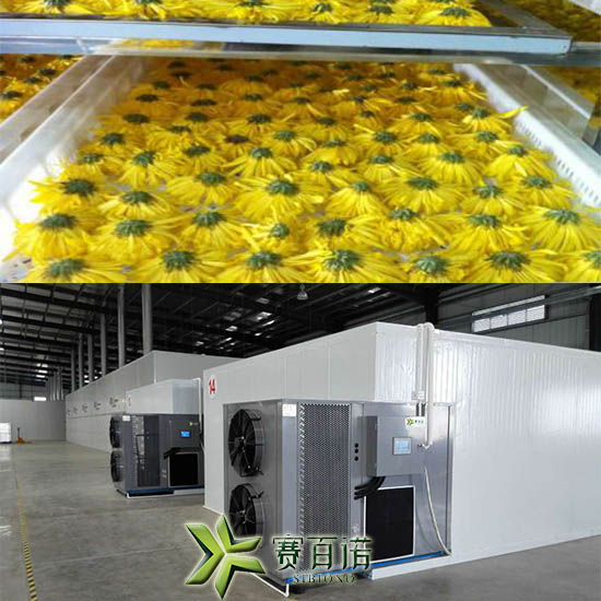 1509588800859107.jpg 空氣能菊花烘干機(jī).jpg