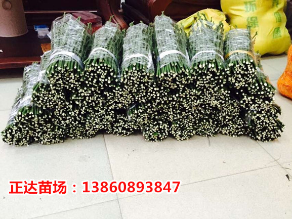 1474601222871838.jpg 1111.jpg