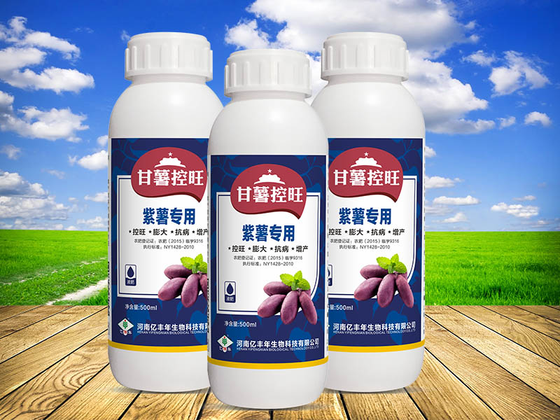 河南億豐年紫薯專用型甘薯控旺,智能化控旺.jpg 河南億豐年紫薯專用型甘薯控旺,智能化控旺.jpg