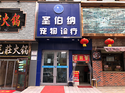 西寧寵物醫療|西寧寵物醫院|西寧寵物診所|西寧動物醫院|西寧寵物用品-西寧圣伯納寵物醫院