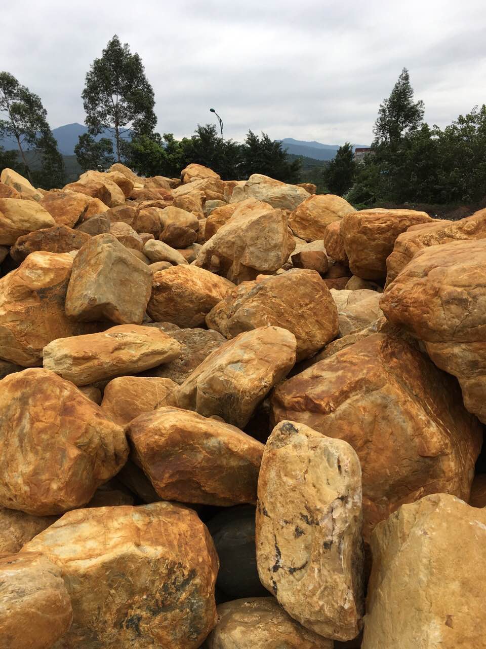 1487226718904241.jpg 18.jpg