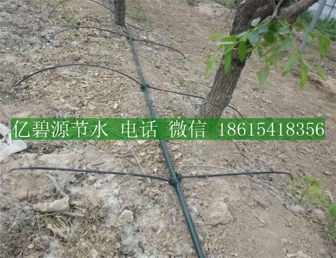 1470036234899266.jpg 果樹滴灌28.jpg