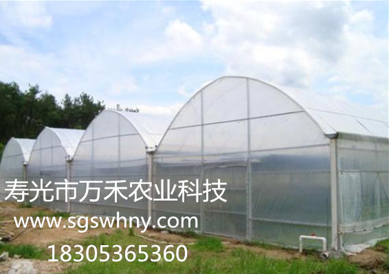 1481167316278311.jpg 簡易連棟拱棚 (2).jpg