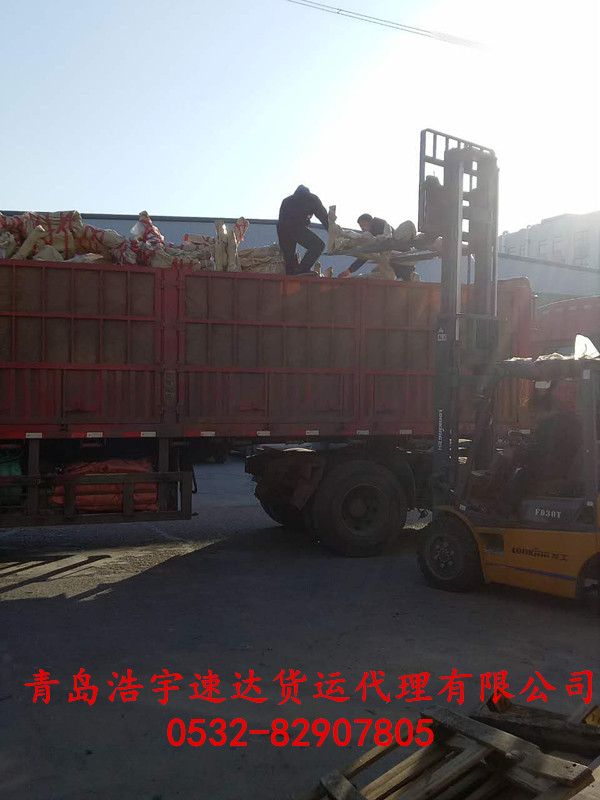 1516070760622260.jpg 387693542106323574_副本.jpg