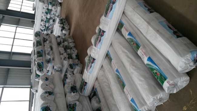 葡萄花卉專用地膜