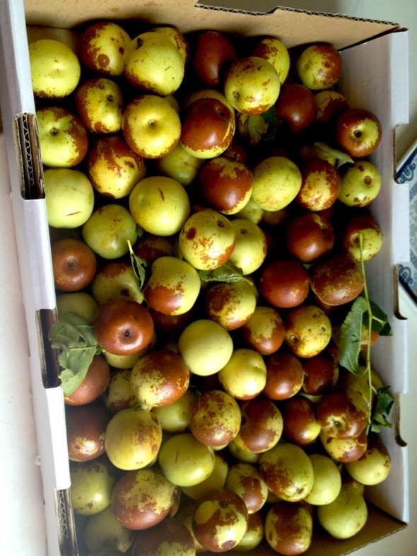 1475377059908074.jpg accc1d9e9fc0b9d908f7e83a45a6f990.jpg