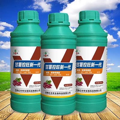 1511838677353508.jpg 44甘薯控旺新一代.jpg