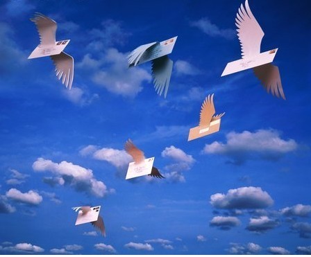 1481794214159407.jpg 11242295.jpg