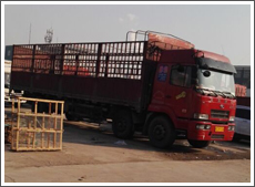 1516070727535030.jpg 1449560100484968.jpg