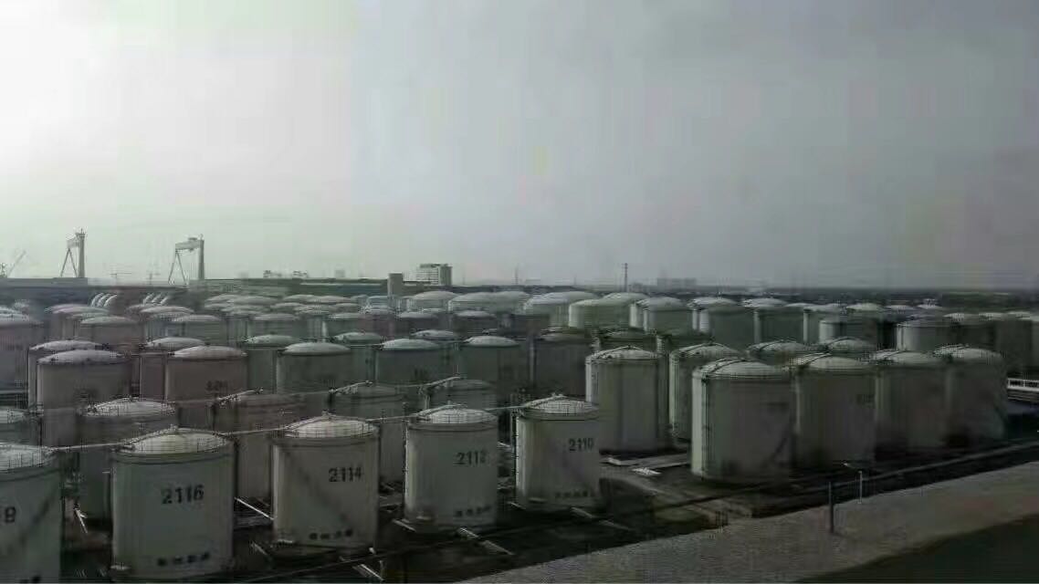 1503309094619631.jpg 1499395269250782.jpg