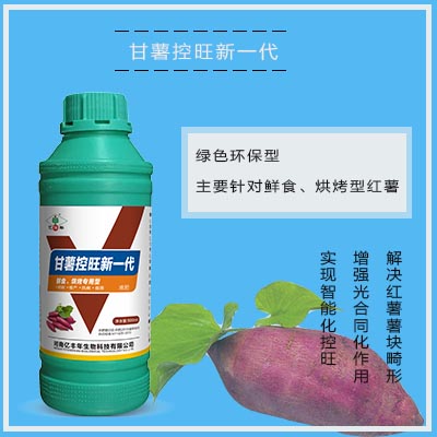 1511838854525619.jpg 44甘薯控旺新一代功能特點 - 副本.jpg