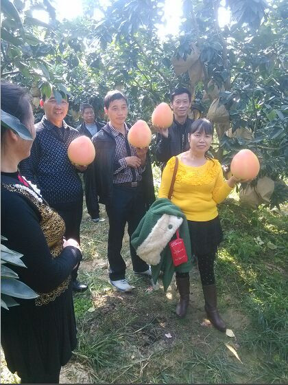 1476157211421708.jpg QQ圖片20150403134420_副本.jpg