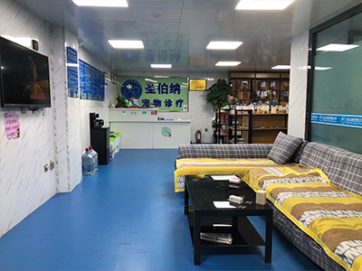 西寧圣伯納寵物醫院,寵物醫院 西寧圣伯納寵物醫院,寵物醫院