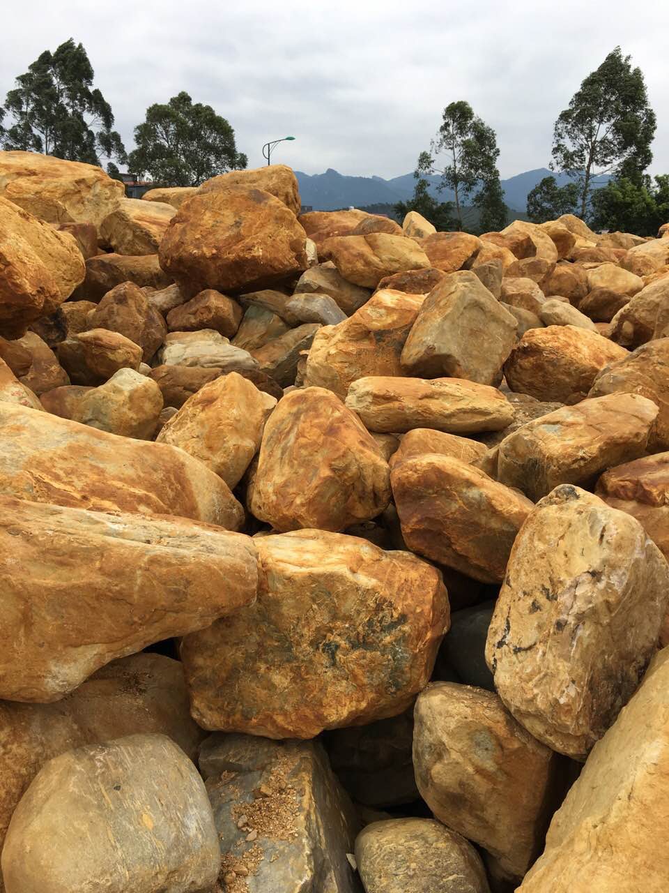 1487226722646050.jpg 17.jpg