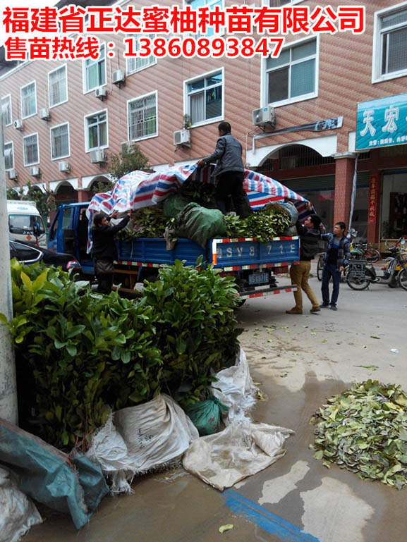 1474599765751380.jpg IMG_20150301_172344.jpg