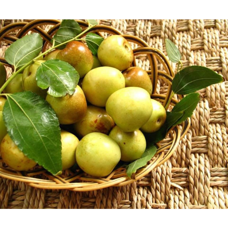 1475376479745343.jpg 000000000121063502_1_800x800.jpg