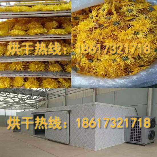 1509588782595599.jpg 金絲皇菊烘干機(jī).jpg