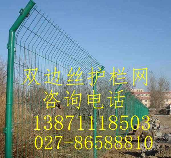 1489911306325360.jpg n_v1bj3gzsexpxbvr6vqirka.jpg